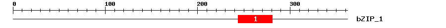 Signature Domain