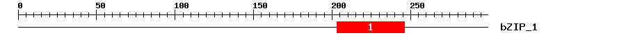 Signature Domain