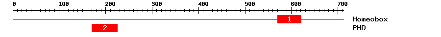 Signature Domain