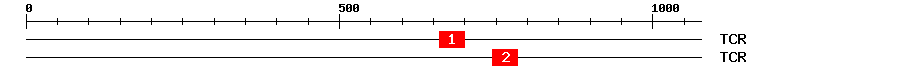 Signature Domain