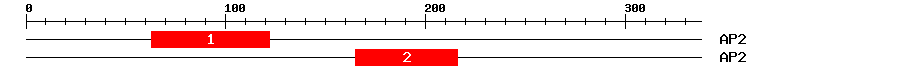 Signature Domain