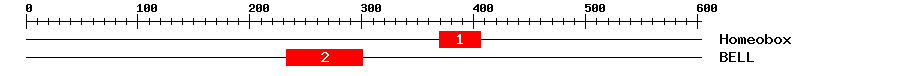 Signature Domain