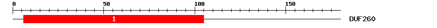 Signature Domain