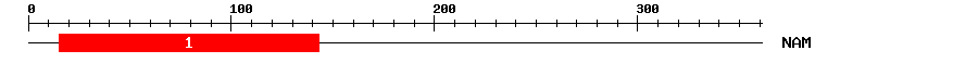 Signature Domain