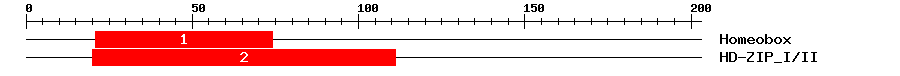 Signature Domain