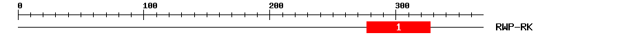 Signature Domain