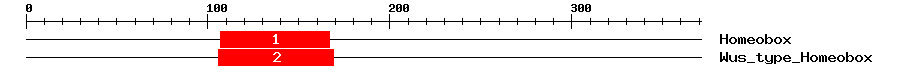 Signature Domain