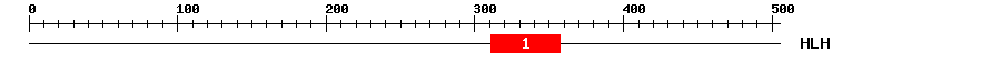 Signature Domain