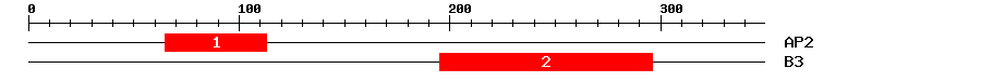 Signature Domain