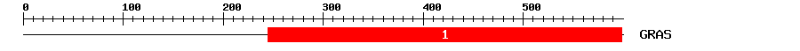 Signature Domain