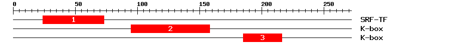 Signature Domain