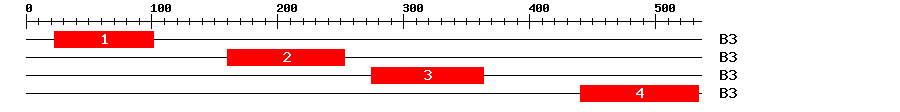 Signature Domain