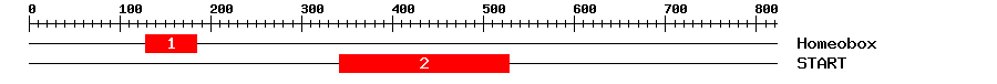 Signature Domain