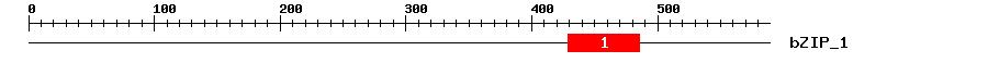 Signature Domain