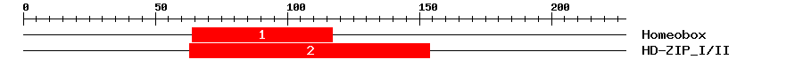 Signature Domain