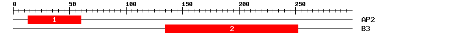 Signature Domain