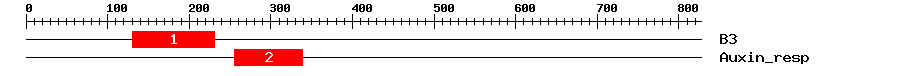 Signature Domain