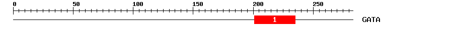 Signature Domain