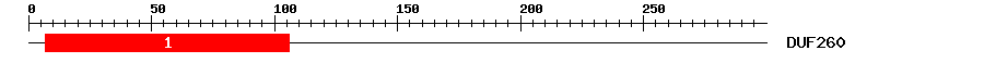 Signature Domain