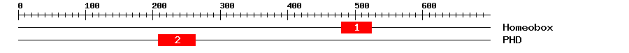 Signature Domain