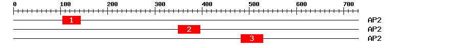 Signature Domain