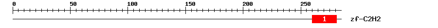 Signature Domain