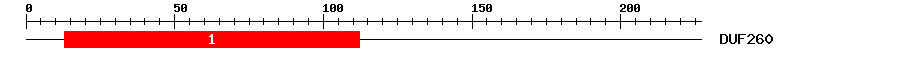 Signature Domain