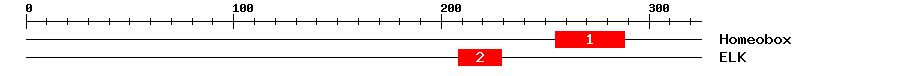 Signature Domain
