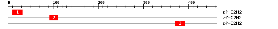 Signature Domain