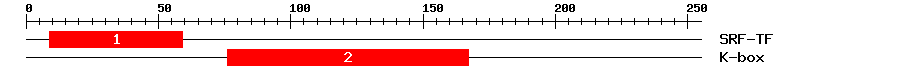 Signature Domain