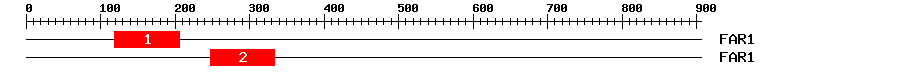 Signature Domain