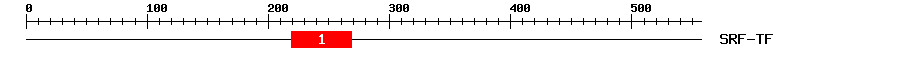 Signature Domain