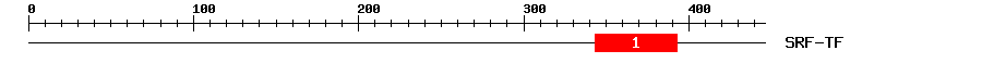 Signature Domain