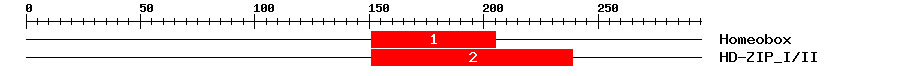 Signature Domain