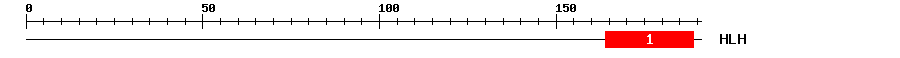 Signature Domain