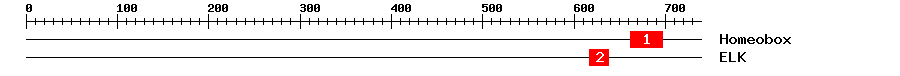 Signature Domain