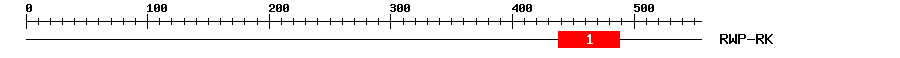 Signature Domain