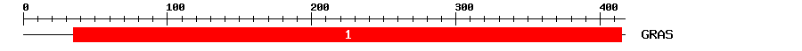 Signature Domain