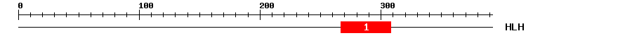 Signature Domain