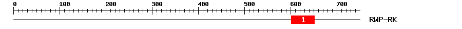 Signature Domain