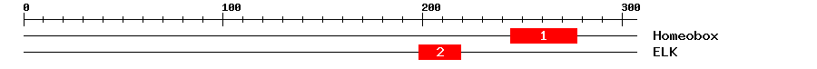 Signature Domain