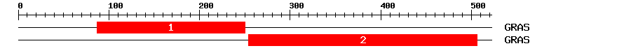 Signature Domain
