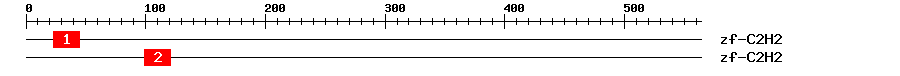 Signature Domain