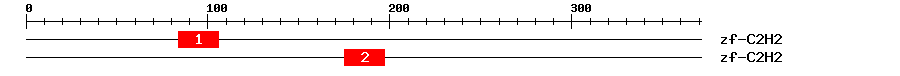 Signature Domain