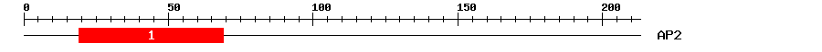 Signature Domain