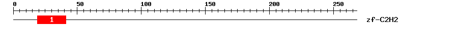 Signature Domain