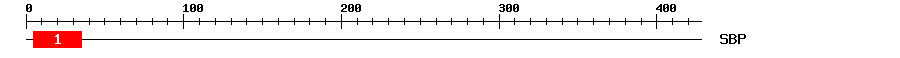 Signature Domain