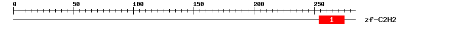 Signature Domain