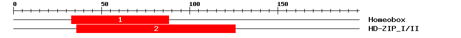 Signature Domain
