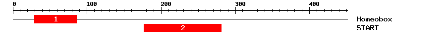 Signature Domain